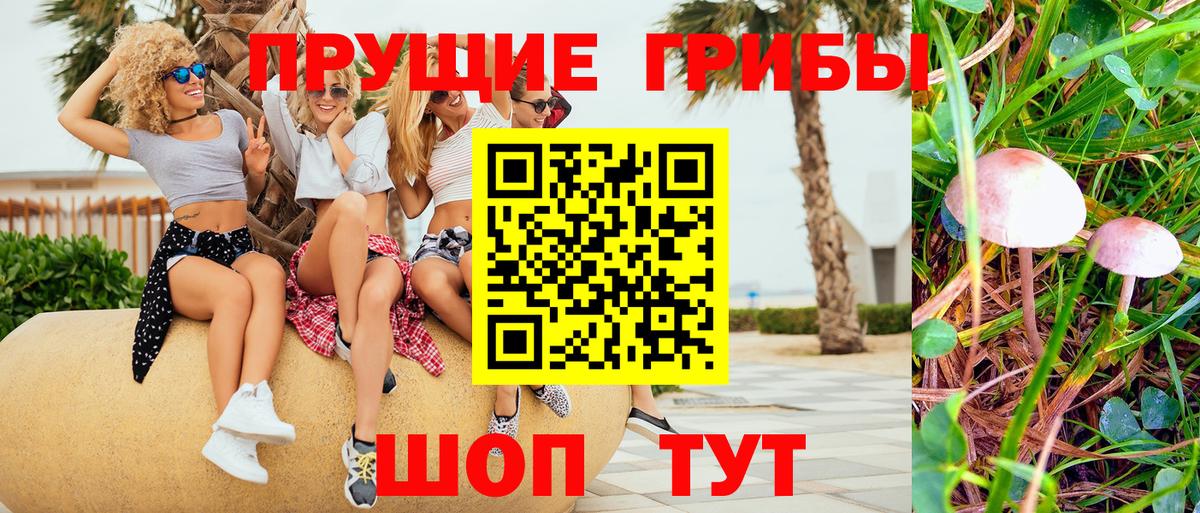 дарнет шоп  Галлюциногенные грибы Cubensis  Псилоцибиновые грибы ЛСД  Вход с VPN  Екатеринбург 