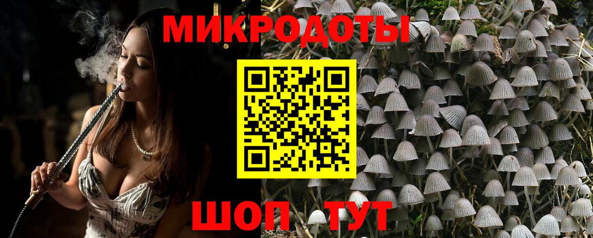 Галлюциногенные грибы Psilocybine cubensis Екатеринбург